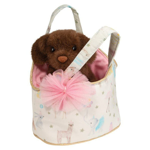 Birthday Sassy Sak with Chocolate Lab Douglas Plush