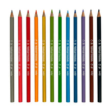 Yummy Yummy Fruit Scented Colored Pencils- Set of 12