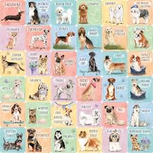 Dogs Memory Match Game (Set of 72 Cards)