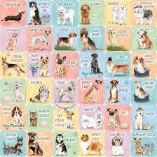 Dogs Memory Match Game (Set of 72 Cards)