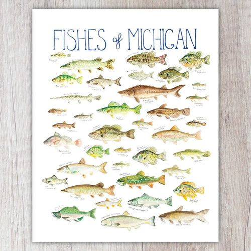 Fishes of Michigan 8
