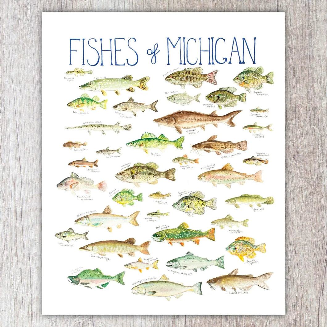 Fishes of Michigan 8