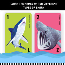 Go Shark! Shark Version of Classic Go Fish Card Game