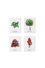Match a Leaf: A Tree Memory Game