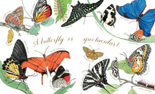 Butterfly Is Patient