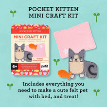 Mini Craft Kit Pocket Pet Kitten