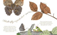 Butterfly Is Patient