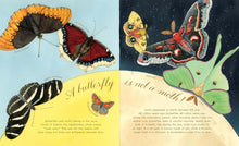 Butterfly Is Patient