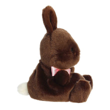 Aurora® - Palm Pals™ - Richie Chocolate Bunny