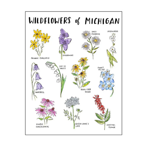 Wildflowers of Michigan Everyday Card