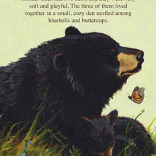 The Legend of Sleeping Bear Michigan Hardcover Book