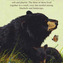 The Legend of Sleeping Bear Michigan Hardcover Book