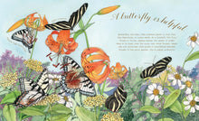Butterfly Is Patient