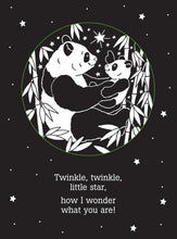 Twinkle, Twinkle Little Star Shadow Book