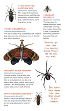 Creepy, Crawly Tattoo Bugs Temporary Tattoo Book