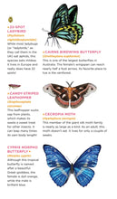 Fluttery, Friendly Tattoo Butterflies and Other Insects Tattoo Book