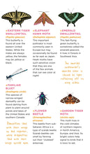 Fluttery, Friendly Tattoo Butterflies and Other Insects Tattoo Book