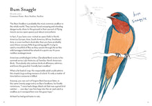 Dumb Birds Field Guide to the Worst Birds Ever A Dumb Birds Field Guide