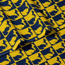 Maize and Blue Michigan Double Sided Waffle Dish Towel