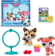 Pet Pairs Assortment
