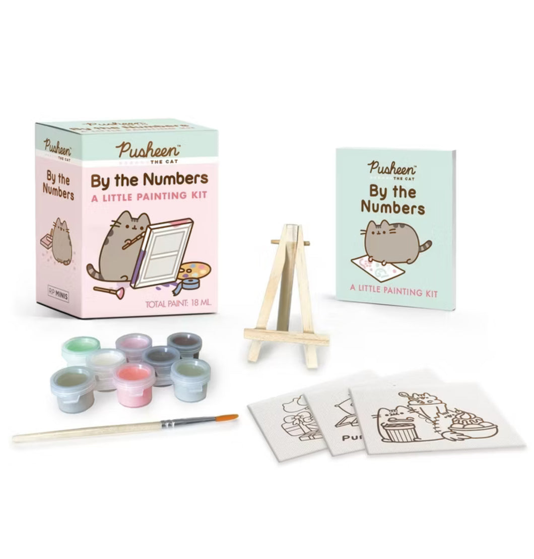 Pusheen - Paint By Numbers Little Kit