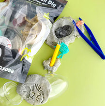 Dinosaur Fossil Dig KidDough Play Kit