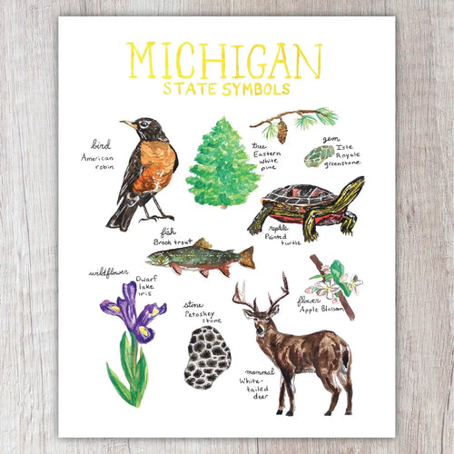 Michigan State Symbols 8