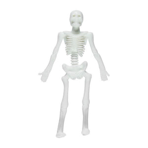 Squish 'N Stretch Skeleton