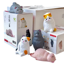 Void Cat Blind Box