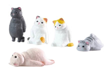 Void Cat Blind Box