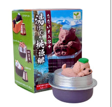 Hot Spring Animals Blind Box