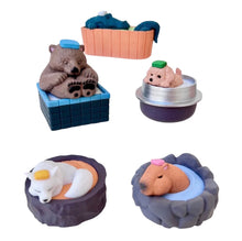 Hot Spring Animals Blind Box