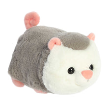 Odin Oppossum 10” Stuffed animal