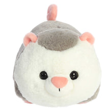 Odin Oppossum 10” Stuffed animal