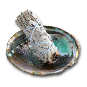 Abalone Shell and White Sage Smudge Stick Gift Box
