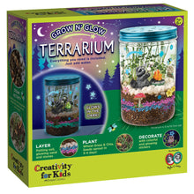 Grow “N” Glow Terrarium