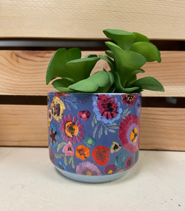 Bright & Bold Blooms Plant Pot