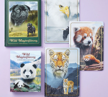 Wild Masterpieces Notebook Collection