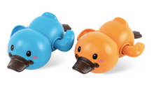 Platypus Bath Racers