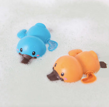 Platypus Bath Racers