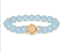 The Journey Bracelet - Track a Sea Turtle