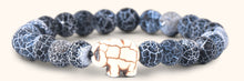 The Expedition Bracelet - Track an Elephant