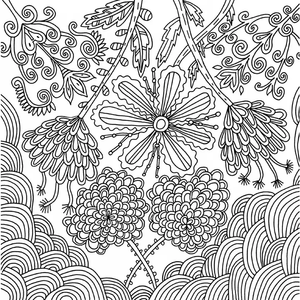 Serenity Coloring Book