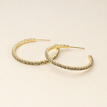 Greige/Gold Sparkle and Shine Sm Rhinestone Hoop Earring