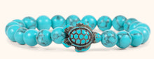 The Journey Bracelet - Track a Sea Turtle