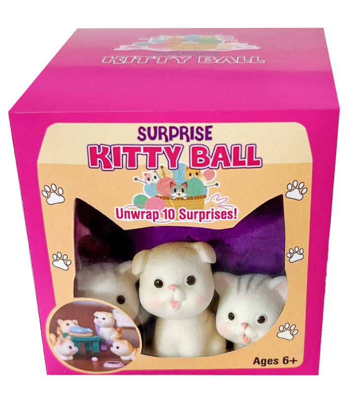 Surprise Kitty Ball