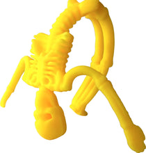 Squish 'N Stretch Skeleton
