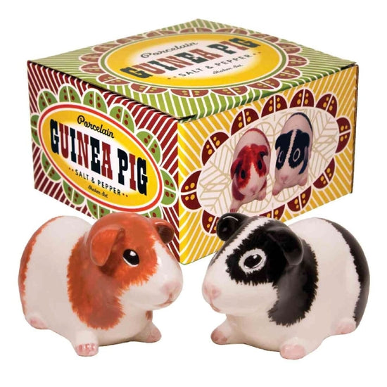 Guinea Pig Salt & Pepper Set