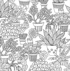 Succulents Coloring Book