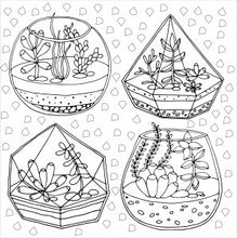 Succulents Coloring Book